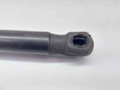 Amortizor capota Volvo S40 II (MS) [Fabr 2004-2012] 5095ZY0140N