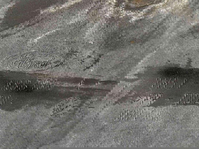 Scut sub bara Ford Focus 2 (DA) [Fabr 2004-2012] 7M51-A8B384