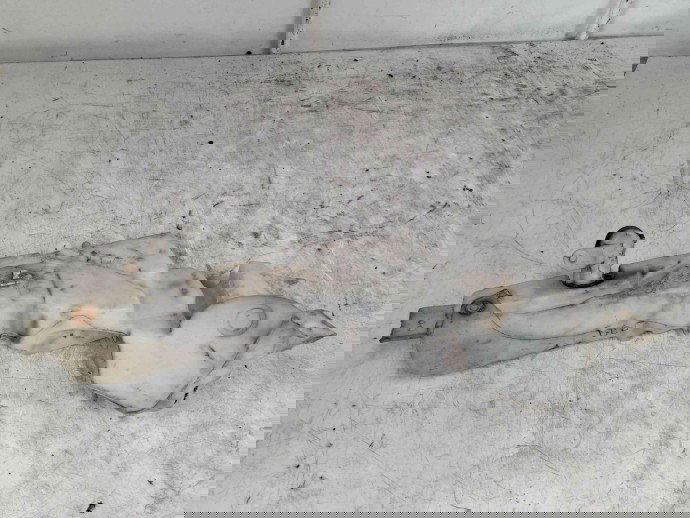 Vas lichid parbriz Ford Focus 2 (DA) [Fabr 2004-2012] 4M51-13K163-CF 1.6 TDCI