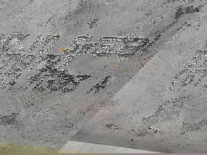 Tub intercooler Volvo S40 II (MS) [Fabr 2004-2012] 31319792 2.0 D5204T