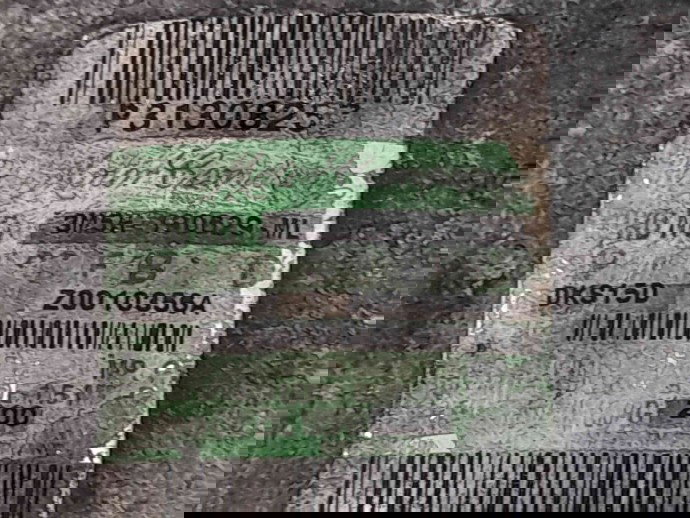 Compresor clima Volvo S40 II (MS) [Fabr 2004-2012] 31308257 2.0 D5204T   110 KW / 150 C