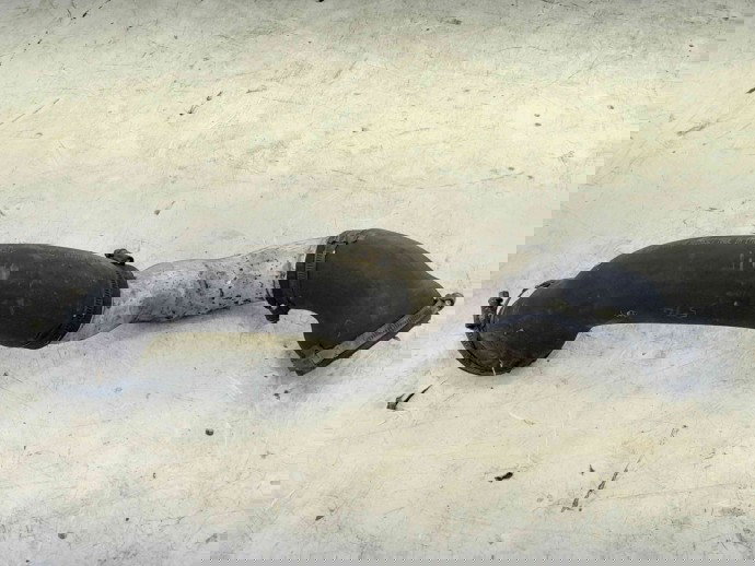 Tub intercooler Volvo S40 II (MS) [Fabr 2004-2012] 31319794 2.0 D5204T