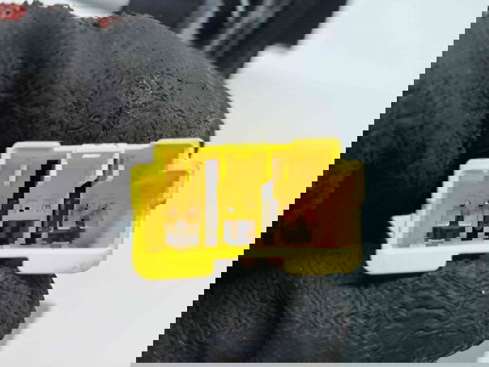  Spirala volan Renault Megane 3 Combi [Fabr 2008-2015] OEM 