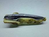 Maner usa stanga spate Kia Sportage III [Fabr 2010-2016] OEM