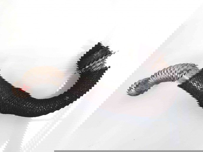 Conducta gaze Ford Focus 2 (DA) [Fabr 2004-2012] 9646996980 1.6 TDCI  