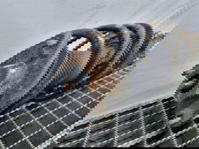 Amortizor dreapta fata Kia Sportage III [Fabr 2010-2016] OEM 1.7 CRDI  