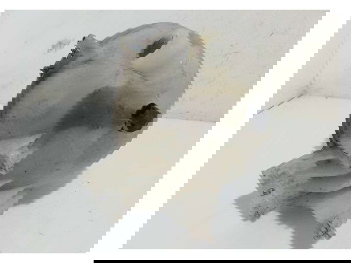 Vas expansiune MERCEDES Sprinter 3.5-t (906) 2.2 DIESEL 2006- A9065010503