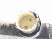 Conducta AC Ford Focus 2 (DA) [Fabr 2004-2012] OEM 1.6 TDCI  