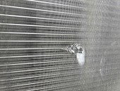 Radiator apa Seat Leon (1P1) [Fabr 2005-2011] 1K0121253AA 1.9 TDI BXE  