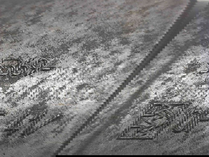 Termoflot Ford Focus 2 (DA) [Fabr 2004-2012] 9656970080 1.6 TDCI  