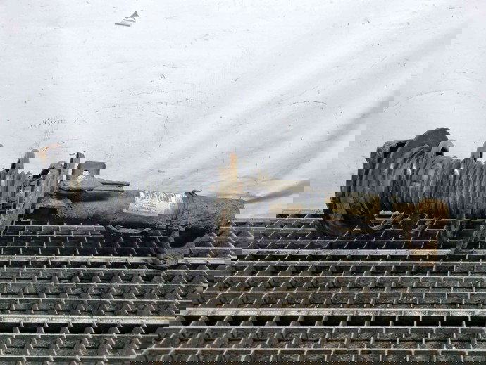 Amortizor stanga fata Mercedes Clasa E (W207) Coupe [Fabr 2009-2012] A2043201273 | A2043202866 2.2 CDI OM65191  