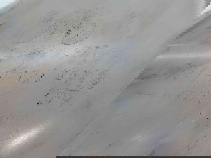 Vas expansiune Volkswagen Jetta 3  (1K2) [Fabr 2005-2010] 1K0121407