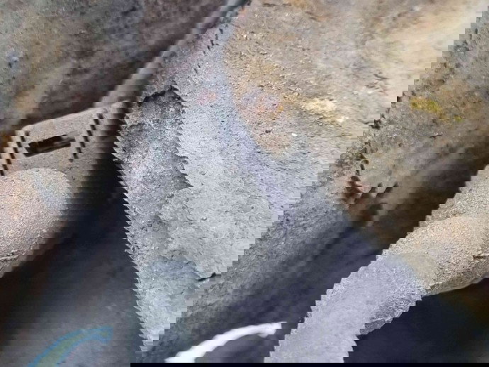 Fuzeta fata dreapta Volkswagen Polo (6R) [Fabr 2009-2016] OEM 1.6 TDI CAYA 1.6 TDI CAYA 55KW / 75CP