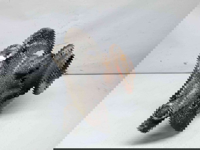 Fuzeta fata stanga Bmw 3 (E90) [Fabr 2005-2011] 6764443 2.0 N47D20C 2.0 N47D20C 135KW / 184CP