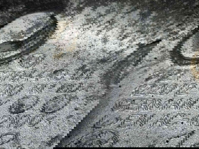 Fuzeta fata stanga Bmw 3 (E90) [Fabr 2005-2011] 6764443 2.0 N47D20C 2.0 N47D20C 135KW / 184CP