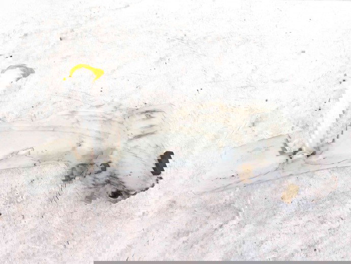 Vas lichid parbriz Nissan Navara (D40) [Fabr 2005-2014] 28910-EB500