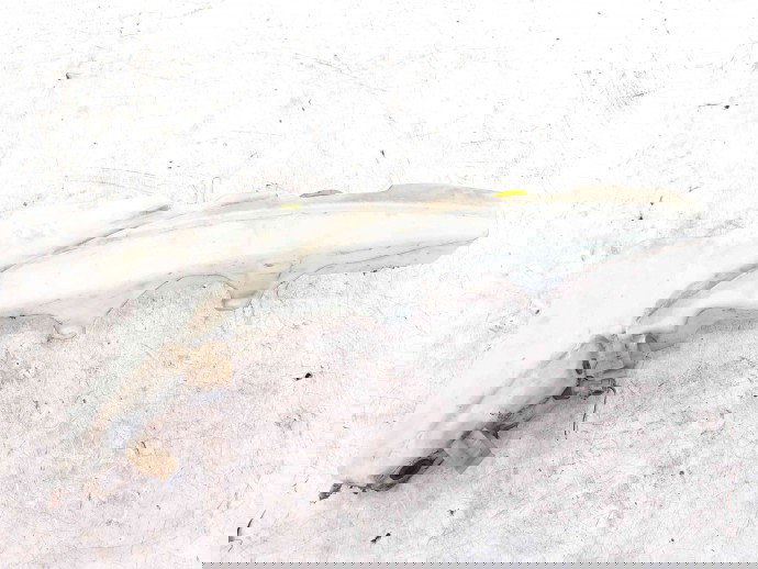 Vas lichid parbriz Nissan Navara (D40) [Fabr 2005-2014] 28910-EB500