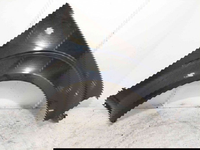 Aripa dreapta fata Nissan Navara (D40) [Fabr 2005-2014] GN0