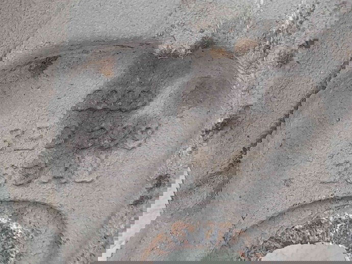 Suport cutie viteze Audi A4 (8EC, B7) [Fabr 2004-2008] 8E0399263AL 2.0 TDI BRE 