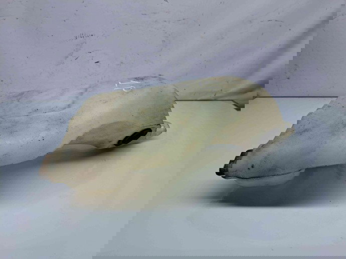 Vas expansiune Renault Scenic 3 [Fabr 2009-2015] 289100014R