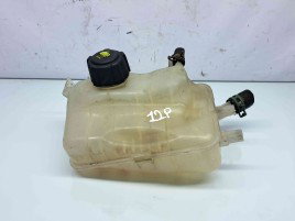 Vas expansiune Renault Megane 3 Combi [Fabr 2008-2015] 217100005R