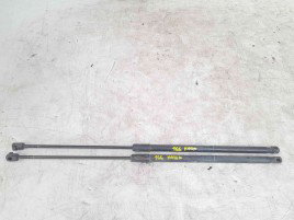 Amortizor haion RENAULT Megane 3 Coupe [Fabr 2010-2015] 904510002R