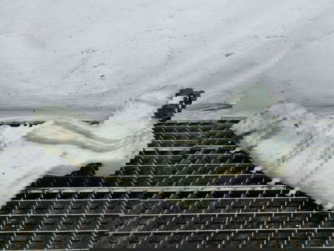  Vas lichid parbriz Ford Focus 2 (DA) [Fabr 2004-2012] 4M51-13K163-AG