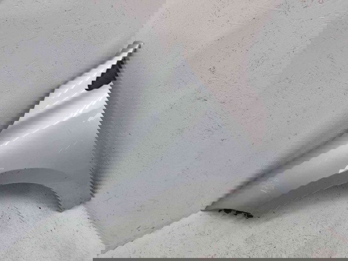 Aripa stanga fata Renault Megane 3 Combi [Fabr 2008-2015] TED69