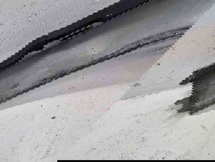 Aripa stanga fata Renault Megane 3 Combi [Fabr 2008-2015] TED69