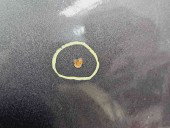 Capota Opel Zafira B (A05) [Fabr 2006-2011] Z177