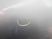 Capota Bmw 3 (E90) [Fabr 2005-2011] SPACEGRAU METALLIC )