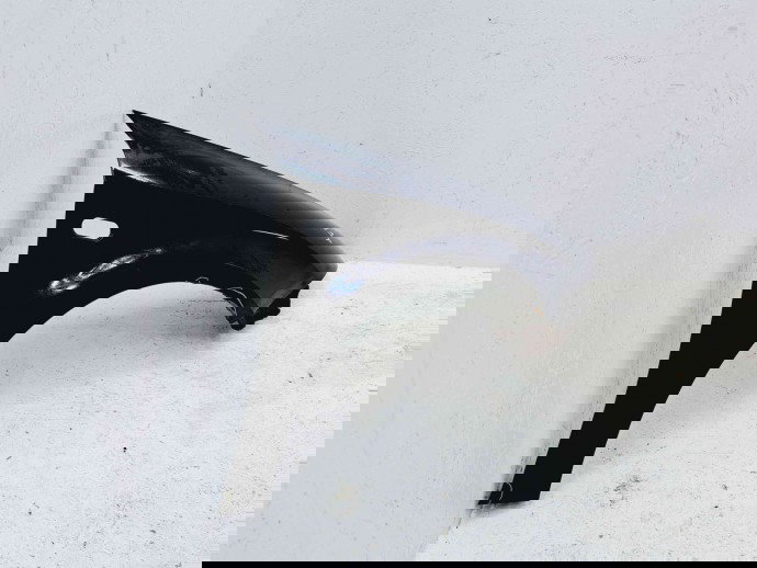 Aripa dreapta fata Seat Leon (1P1) [Fabr 2005-2011] LC9X