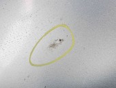 Aripa stanga fata Audi A3 (8P1) [Fabr 2003-2012] LY5J
