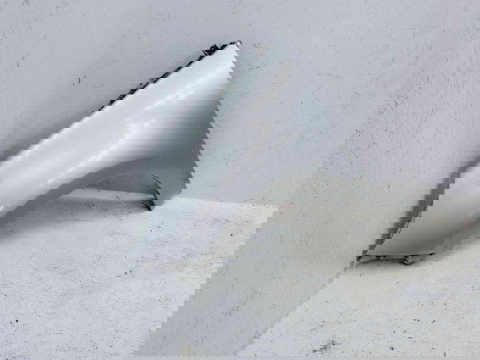 Aripa stanga fata Renault Scenic 3 [Fabr 2009-2015] TED69