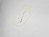 Capota Renault Megane 3 Combi [Fabr 2008-2015] TED69