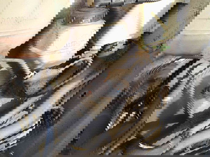 Tulumba frana Renault Symbol 2 [Fabr 2008-2012] OEM 1.4 MPI K7J 70