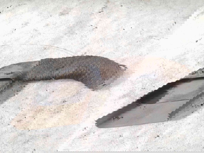 Tub admisie aer Renault Megane 2 [Fabr 2002-2008] 8200177232