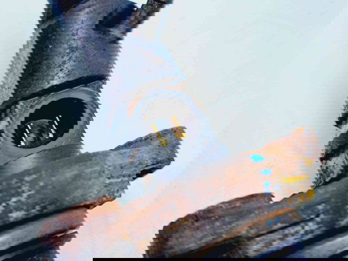 Injector Citroen C5 (III) [Fabr 2008-2017] 9656389980 2.0 100KW / 136CP  