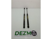 Telescop haion Opel Astra H 1.7 CDTI 3286TY0450N