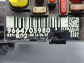  Panou sigurante Citroen C5 (III) [Fabr 2008-2017] 9664705980 