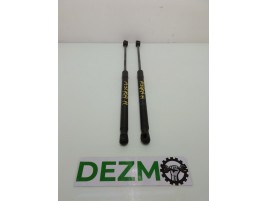 Telescop haion Opel Astra H 1.7 CDTI 3286TY0450N