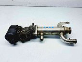 Racitor gaze Citroen C5 (III) [Fabr 2008-2017] OEM 2.0 2.0 100KW / 136CP