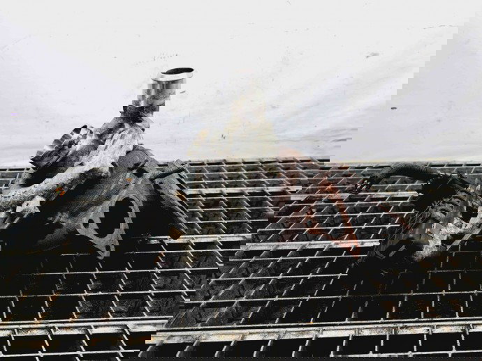 Turbina Ford Transit [Fabr 2006-2013] 6C1Q-6K682-BC 2.2 TDCI 96KW / 130CP  