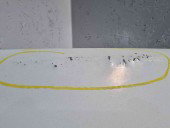 Usa stanga spate Ford Transit [Fabr 2006-2013] Frozen White