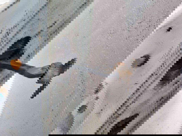 Usa stanga spate Ford Transit [Fabr 2006-2013] Frozen White