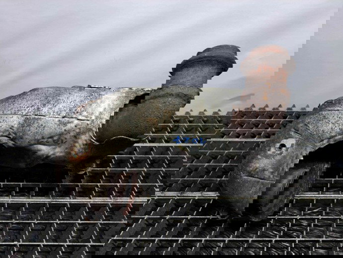 Catalizator Citroen C5 (III) [Fabr 2008-2017] 296566G 2.0 100KW / 136CP  