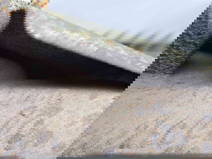 Catalizator Citroen C5 (III) [Fabr 2008-2017] 296566G 2.0 100KW / 136CP  