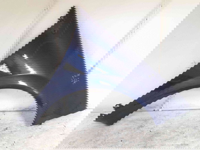 Aripa dreapta fata Renault Megane 2 [Fabr 2002-2008] TEF43