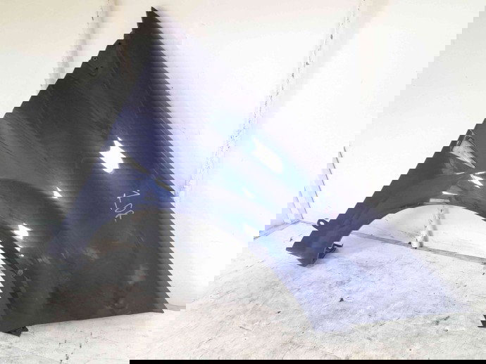 Aripa dreapta fata Renault Megane 2 [Fabr 2002-2008] TEF43