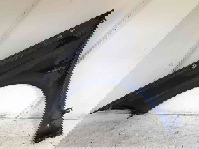 Aripa dreapta fata Renault Megane 2 [Fabr 2002-2008] TEF43